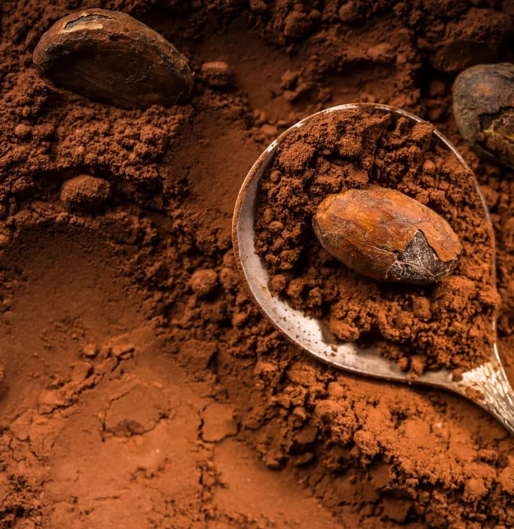 Terpene Cacao