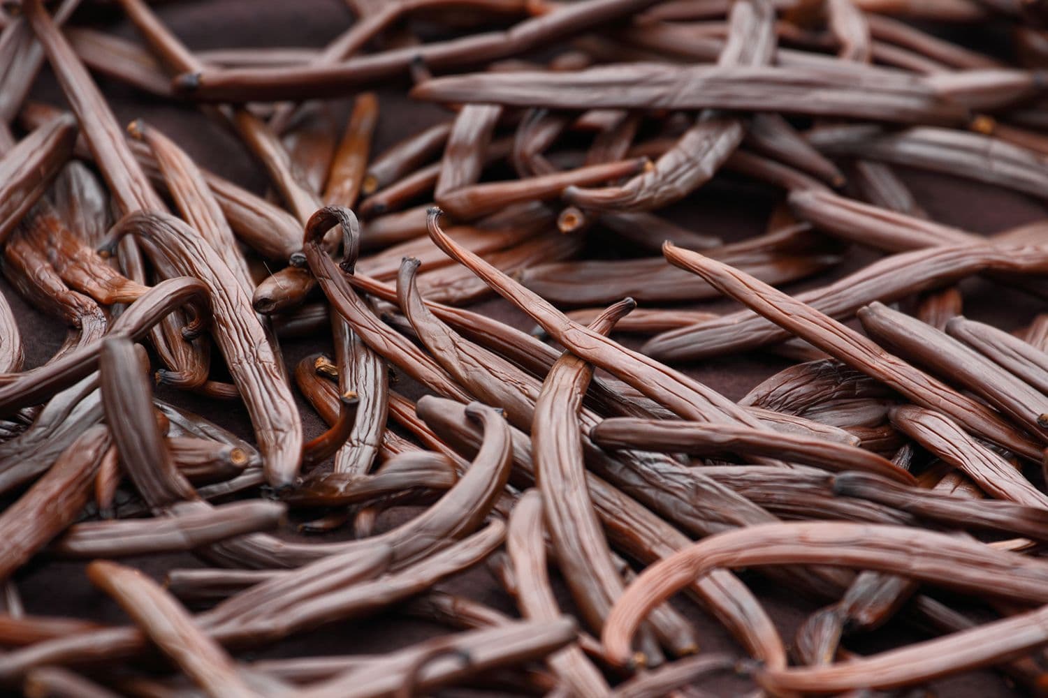 Terpene Vanilla