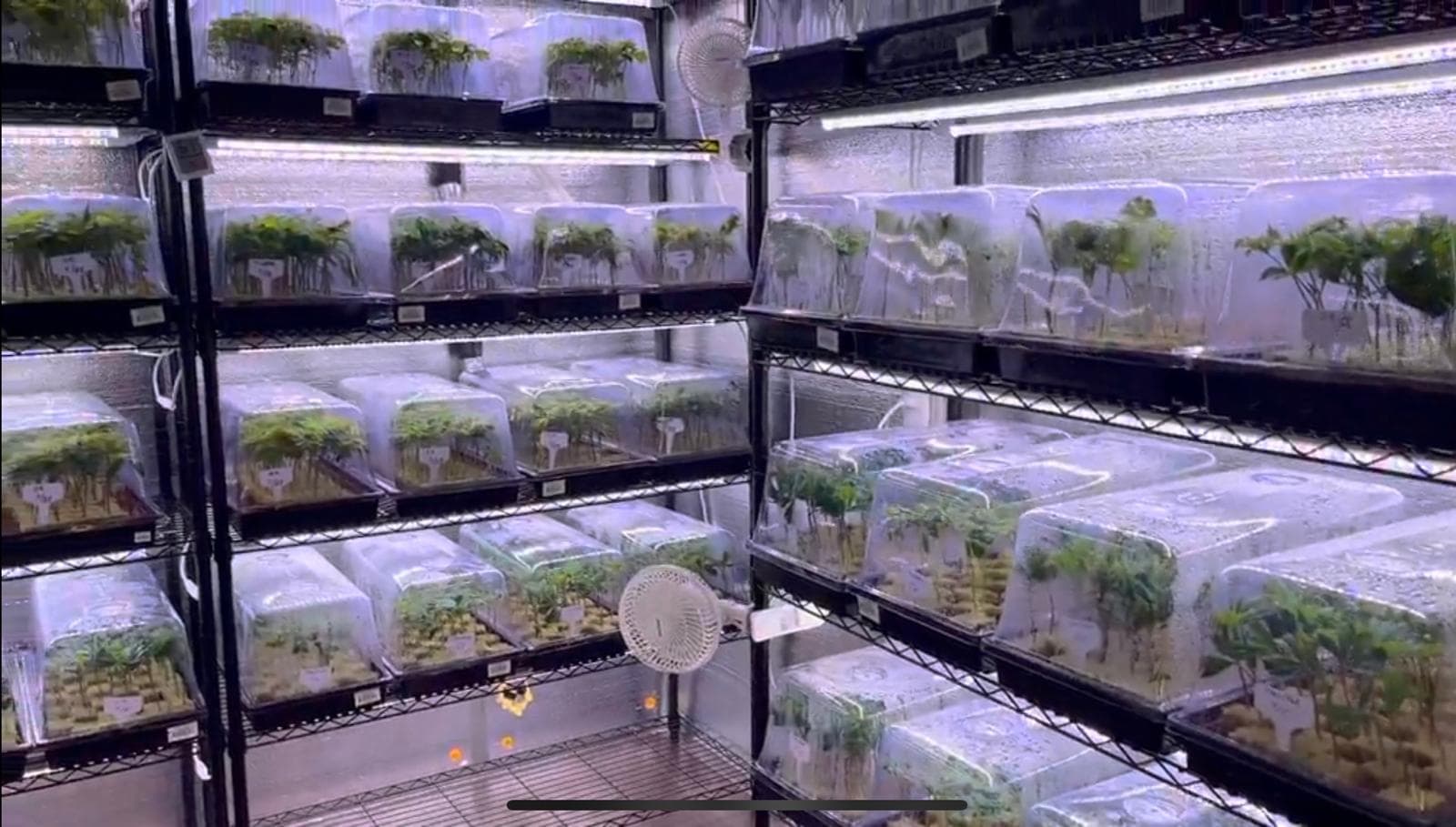Research & Development image