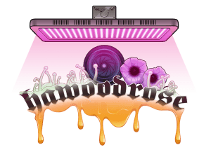 Hawoodrose logo