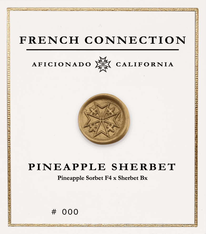 Picture Pineapple Sherbet