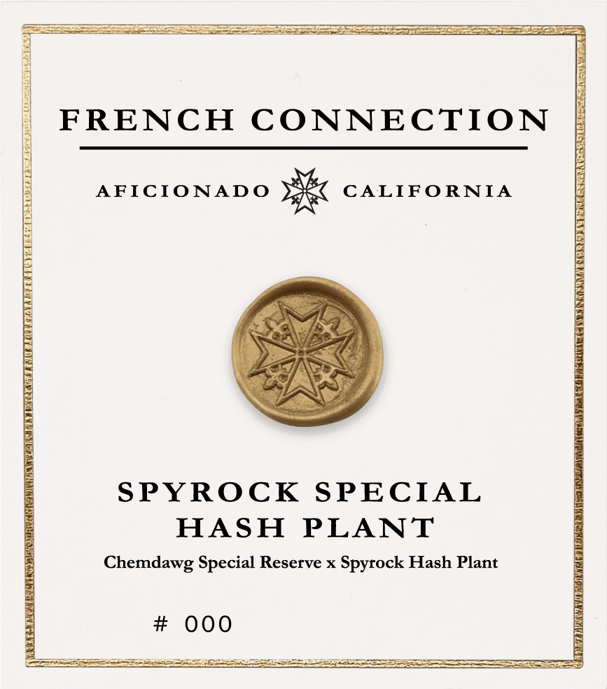 Picture Spyrock Special Hash Plant