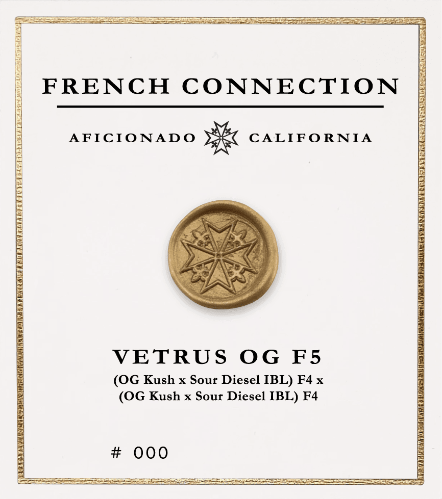 Picture Vetrus OG F5