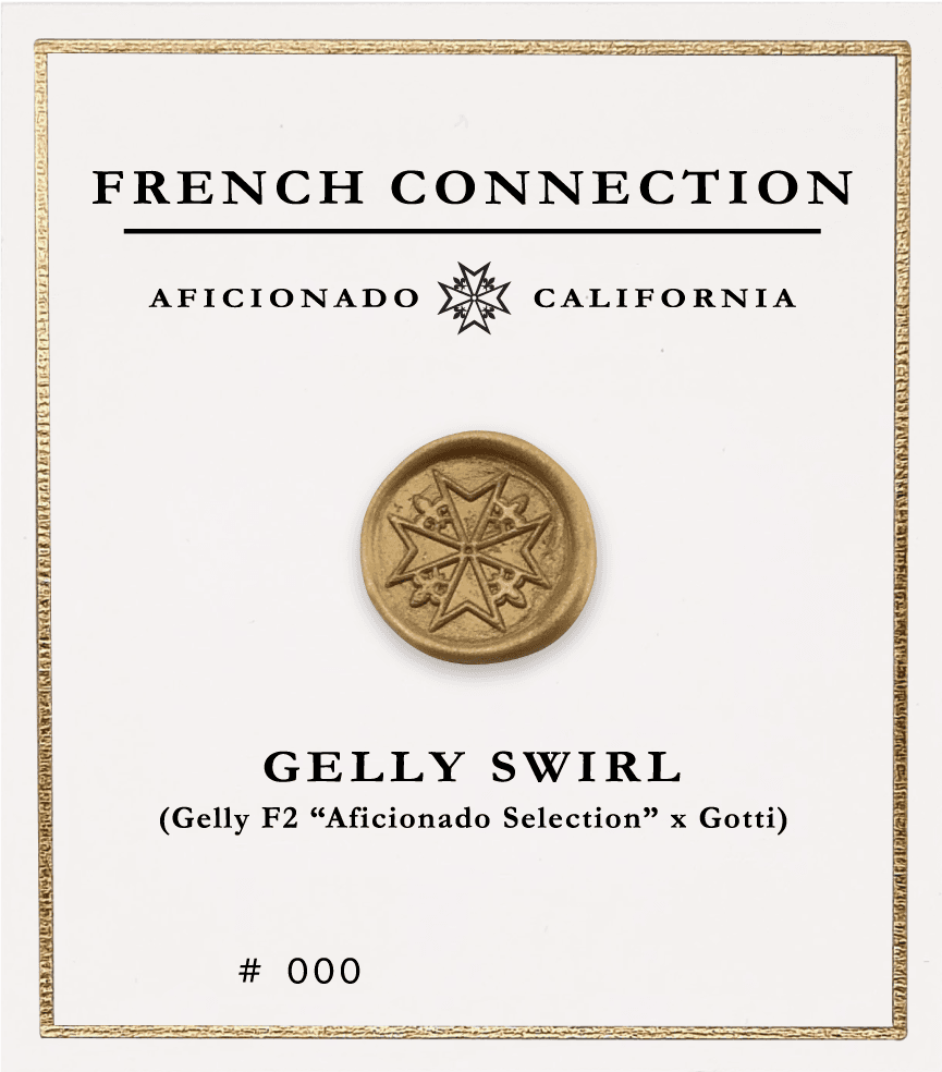 Picture Gelly Swirl