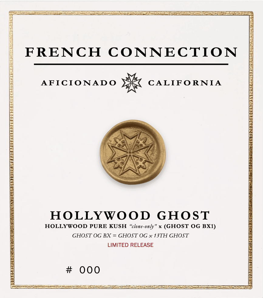 Picture Hollywood Ghost